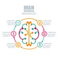 Business infographics vector template. Brain made from colorful arrows, outline icons set. Royalty Free Stock Photo