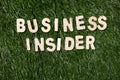 Business Insider Wooden Sign On Grass