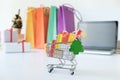 Business internet online shopping, shopping delivery. Royalty Free Stock Photo