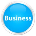 Business premium cyan blue round button Royalty Free Stock Photo