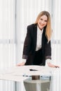 Business lady work manager documents office Royalty Free Stock Photo