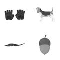 Business, leisure, entertainment and other web icon in monochrome style.nut, food, animals, icons in set collection.