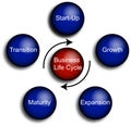 Business Life Cycle Diagram Royalty Free Stock Photo