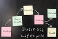 Business lifecycle concept Royalty Free Stock Photo
