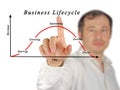 Business lifecycle Royalty Free Stock Photo