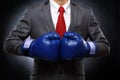 Business man in blue boxing gloves Royalty Free Stock Photo