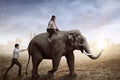 Business man help pushing elephant while his friend sit on it Royalty Free Stock Photo