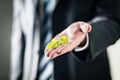 Business man holding green leaf on hand. Nature conservation, global warming, climate change and pollution concept.