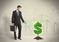 Business man poring water on dollar tree sign on city background Royalty Free Stock Photo