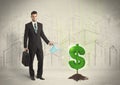 Business man poring water on dollar tree sign on city background Royalty Free Stock Photo