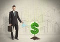 Business man poring water on dollar tree sign on city background Royalty Free Stock Photo