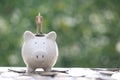 Business man standing on stack of coins money and piggy bank on natural green background, investment and business conceptBusiness Royalty Free Stock Photo