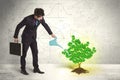 Business man watering a growing green dollar sign tree