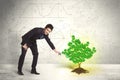 Business man watering a growing green dollar sign tree Royalty Free Stock Photo