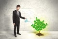 Business man watering a growing green dollar sign tree Royalty Free Stock Photo