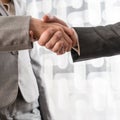 Business man and woman shaking hands Royalty Free Stock Photo