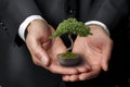 Business Management Bonsai Tree Wisdom