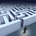 Business maze challenge