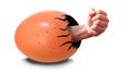 Business metaphor power energy competition abstract fist egg succeed win rank Royalty Free Stock Photo