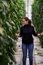 Business in modern greenhouses. A young woman agronomist stands between the beds and lovingly touches the plants with her hands