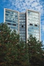 Business office building and green pine trees in foreground Royalty Free Stock Photo