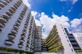 Business office skyscrapers with fresh green tree