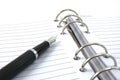 Business organizer and pen Royalty Free Stock Photo