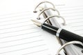 Business organizer and pen Royalty Free Stock Photo
