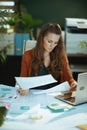 business owner woman in green office working with documents Royalty Free Stock Photo