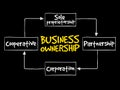 Business ownership mind map