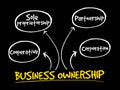 Business ownership mind map