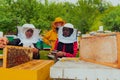 Business partners with an experienced senior beekeeper checking the quality and production of honey at a large bee farm Royalty Free Stock Photo