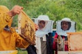 Business partners with an experienced senior beekeeper checking the quality and production of honey at a large bee farm Royalty Free Stock Photo