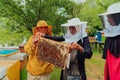 Business partners with an experienced senior beekeeper checking the quality and production of honey at a large bee farm Royalty Free Stock Photo