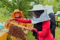 Business partners with an experienced senior beekeeper checking the quality and production of honey at a large bee farm Royalty Free Stock Photo