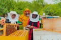 Business partners with an experienced senior beekeeper checking the quality and production of honey at a large bee farm Royalty Free Stock Photo