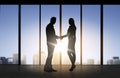 Business partners silhouettes shaking hands