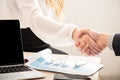 Business people handshake after partnership contract signing at office Royalty Free Stock Photo