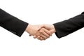 Business people handshaking closing a deal Royalty Free Stock Photo