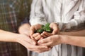 Business people holding green seedling with soil, closeup Royalty Free Stock Photo