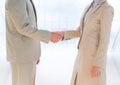 Business people mid sections shaking hands against blurry window Royalty Free Stock Photo