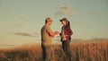 Business people shake hands on field in sun. The conclusion of the deal, agreed. 