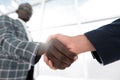 Business people shaking hands in a bright office. Royalty Free Stock Photo