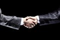 Business people shaking hands Royalty Free Stock Photo