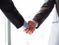 Business people shaking hands Royalty Free Stock Photo