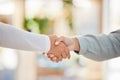 Business people shaking hands, meeting and consulting, networking and hiring agreement, partnership goals or office Royalty Free Stock Photo