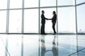 Business people shaking hands over office background Royalty Free Stock Photo