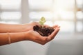 Business person holding plant seed, soil growth in hands for sustainable development or environmental awareness in eco Royalty Free Stock Photo