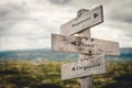 Business, plans and organize wooden signpost outdoors in nature. Royalty Free Stock Photo