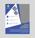 business professional flyer design. elegant blue design